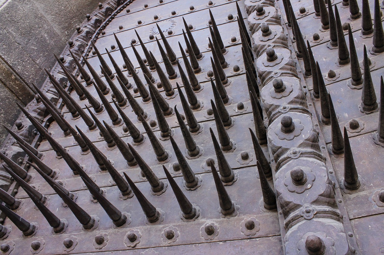 The Ultimate Guide to Custom Security Doors: Unmatched Protection Meets Bespoke Design