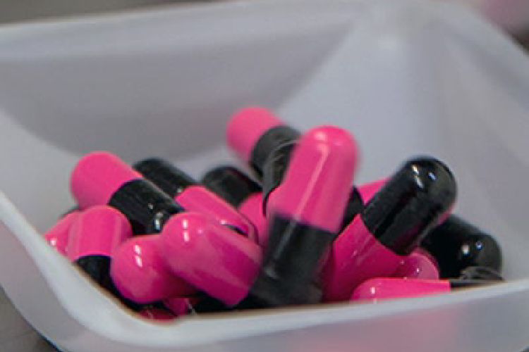 capsule supplement manufacturer