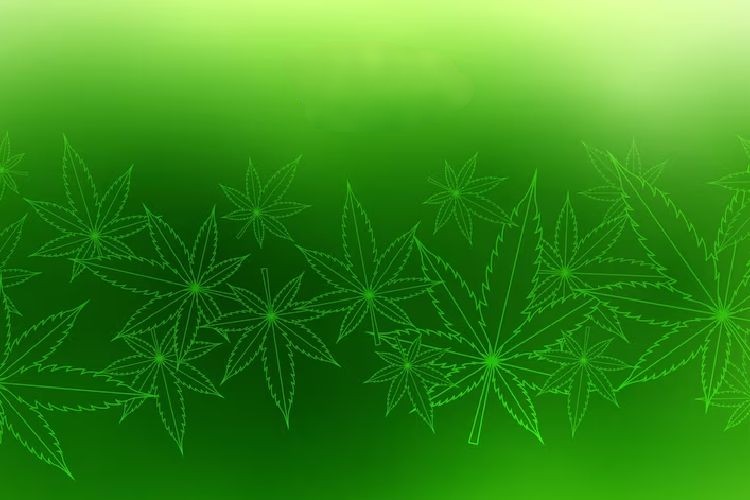 virginia medical marijuana card