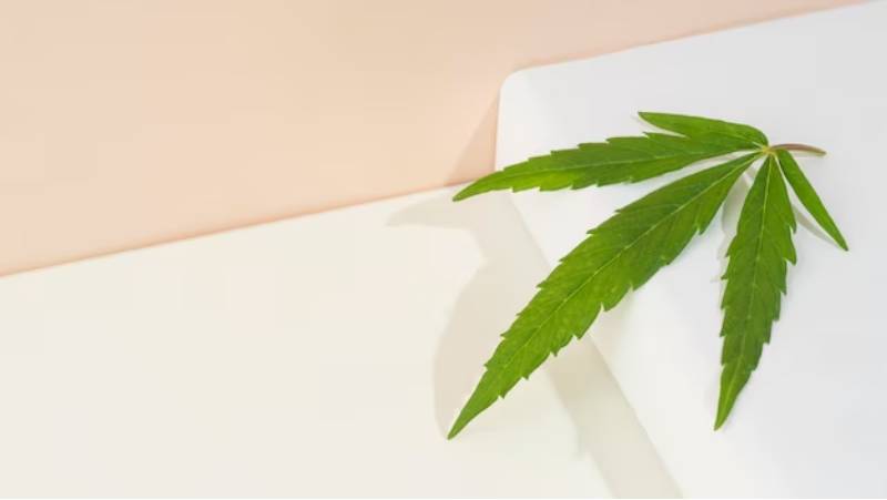 medical marijuana card