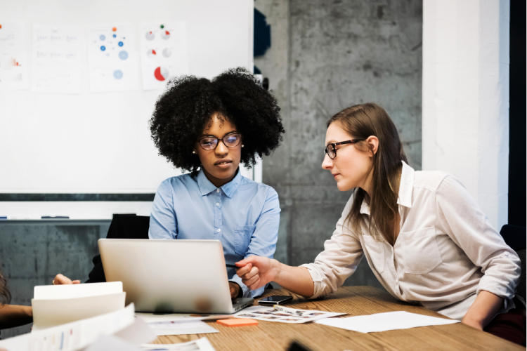 brand management training