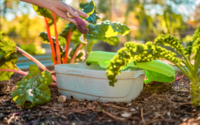 galvanized raised bed planter