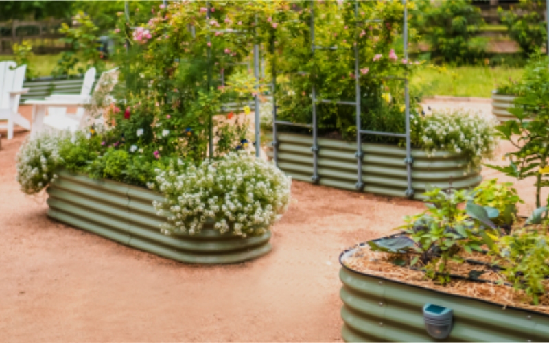 galvanized raised bed planter