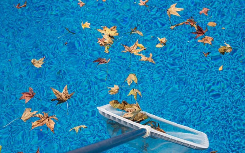 pool service management