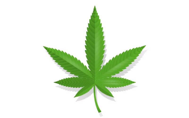cannabis card cape coral