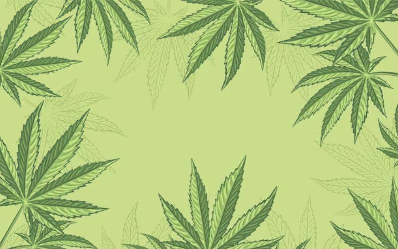 cannabis card cape coral