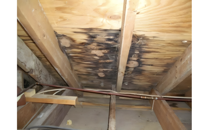 roofing in Michigan