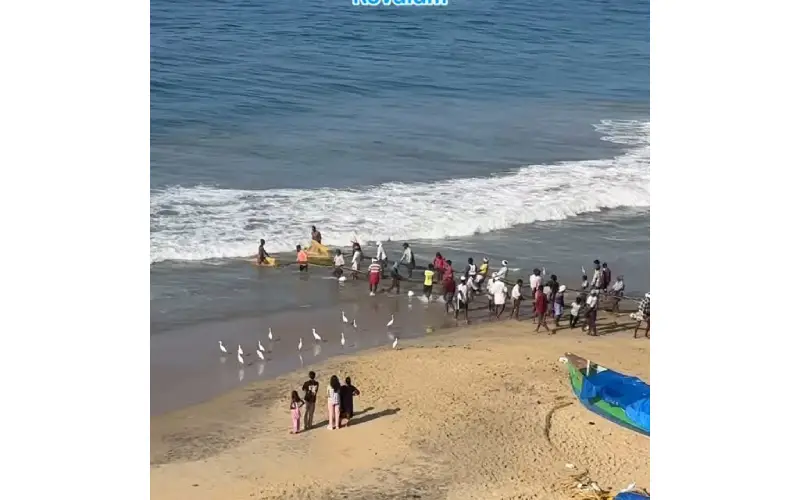 kerala travel agent